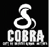 COBRA (City of Bristol Rising Artists)